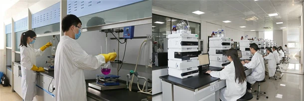 Sulfadimethoxine synthesis Sulfadimethoxine synthesis