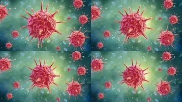 sulfadimethoxine uses sulfadimethoxine uses