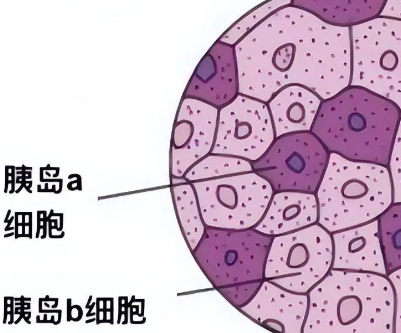 Bioglutide NA-931 500mcg | Shaanxi BLOOM Tech Co., Ltd Bioglutide NA-931 500mcg | Shaanxi BLOOM Tech Co., Ltd