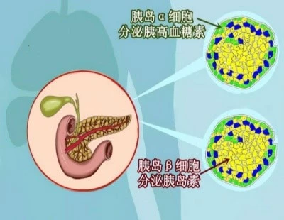 Bioglutide NA-931 Cost | Shaanxi BLOOM Tech Co., Ltd Bioglutide NA-931 Cost | Shaanxi BLOOM Tech Co., Ltd