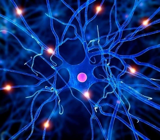 Fipronil Spot-On Drugs | Bloomtechz Fipronil Spot-On Drugs | Bloomtechz