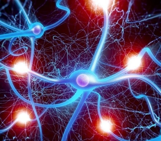 Fipronil Spot-On Signal | Bloomtechz Fipronil Spot-On Signal | Bloomtechz