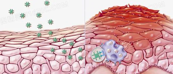 Peptide Product | Shaanxi BLOOM Tech Co., Ltd Peptide Product | Shaanxi BLOOM Tech Co., Ltd