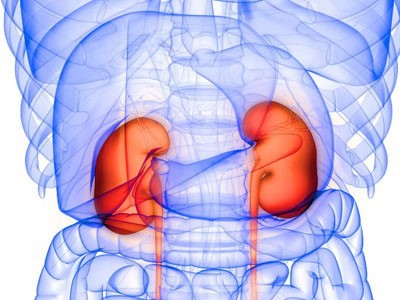 Nesiritide Buy | Shaanxi BLOOM Tech Co., Ltd Nesiritide Buy | Shaanxi BLOOM Tech Co., Ltd